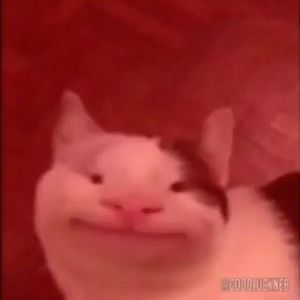 Meet your Posher, Haylee